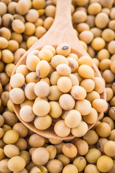 Healthy soybean — Stock Photo, Image