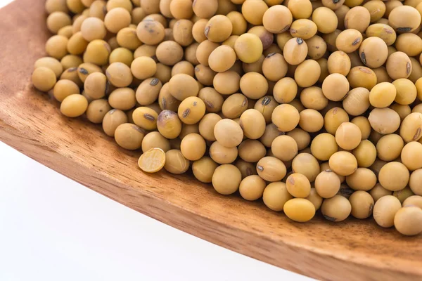 Healthy soybean — Stock Photo, Image