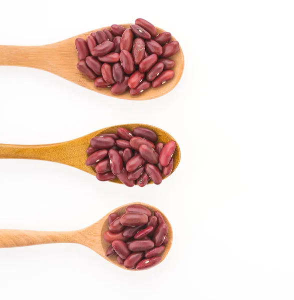 Red beans kidney — Stock Photo, Image