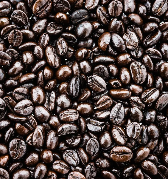 Coffee beans — Stock Photo, Image