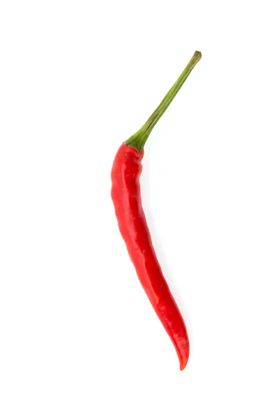 Chilli isolado em branco — Fotografia de Stock