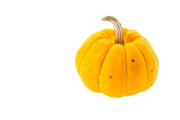 Calabaza aislada en blanco —  Fotos de Stock