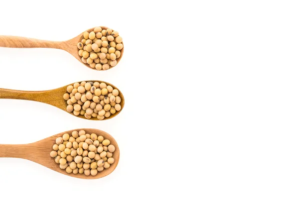 Soybean isolated on white background — Stock Photo, Image