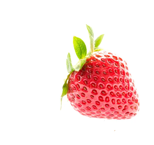 Verse aardbeien — Stockfoto