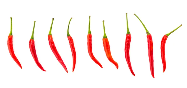 Red Chilli — Stock Photo, Image