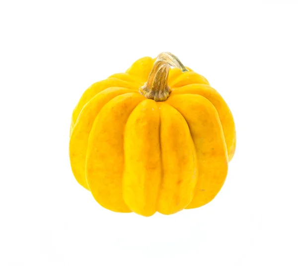 Zucca fresca — Foto Stock