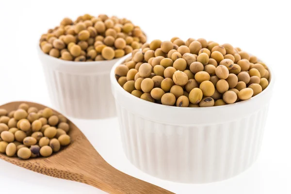 Healthy soybean — Stock Photo, Image