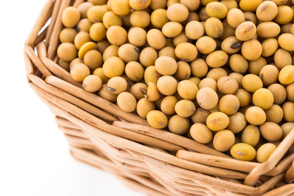 Healthy soybean — Stock Photo, Image