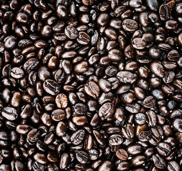 Coffee beans — Stock Photo, Image