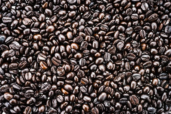 Coffee beans — Stock Photo, Image