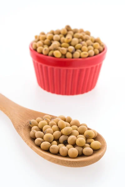 Soybean isolated on white background — Stock Photo, Image