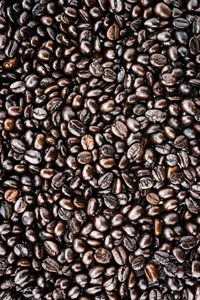 Kávová zrna Izolované na bílém pozadí — Stock fotografie