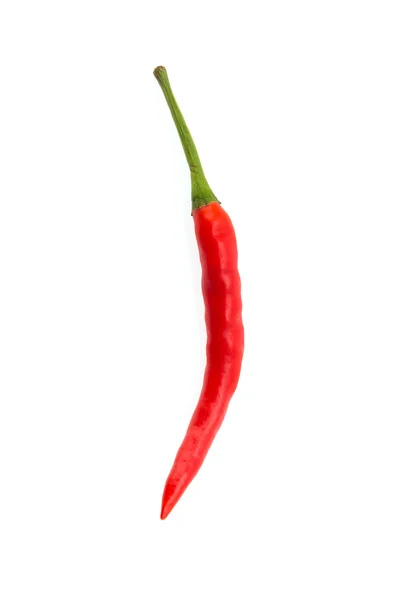 Chilli isolated on white — Stock Photo, Image