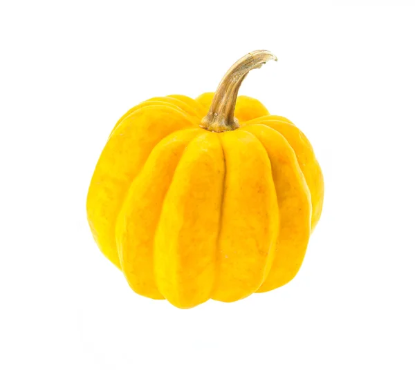 Calabaza aislada en blanco — Foto de Stock