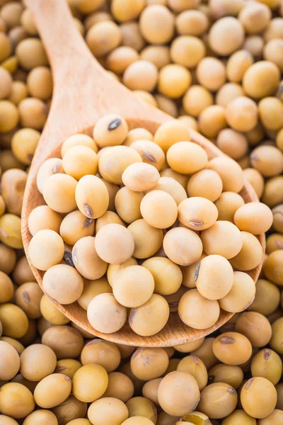 Soybean isolated on white background — Stock Photo, Image