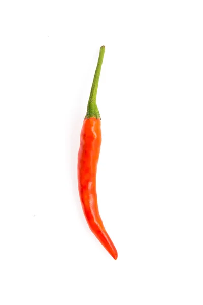 Chilli isolado em branco — Fotografia de Stock