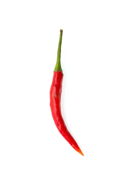 Chilli isolated on white — Stock Photo, Image