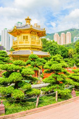 Altın Çin Pavyonu hong kong park 