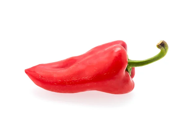 Red chilli isolated on white — Stock Photo, Image