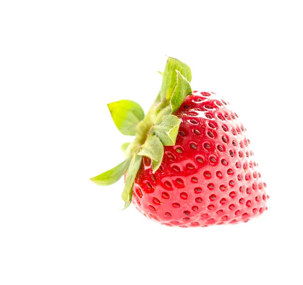 Fragola — Foto Stock