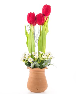 Beyaz arka plan üzerinde izole vazo çiçeği