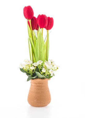 Beyaz arka plan üzerinde izole vazo çiçeği