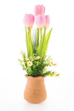 Beyaz arka plan üzerinde izole vazo çiçeği