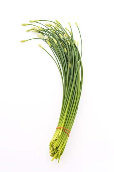 Garlic chives isolated on white background — Stock Photo, Image