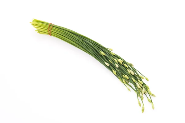 Garlic chives isolated on white background — Stock Photo, Image