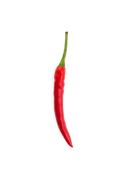 Chili na białym tle — Zdjęcie stockowe