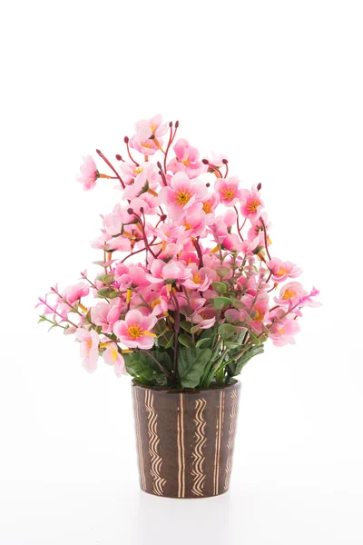 Vase Blume isoliert auf weißem Hintergrund — Stockfoto