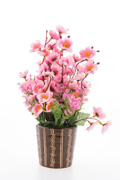 Vase Blume isoliert auf weißem Hintergrund — Stockfoto