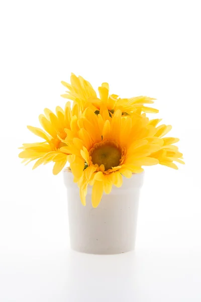 Vase flower isolated on white background — Stock Photo, Image