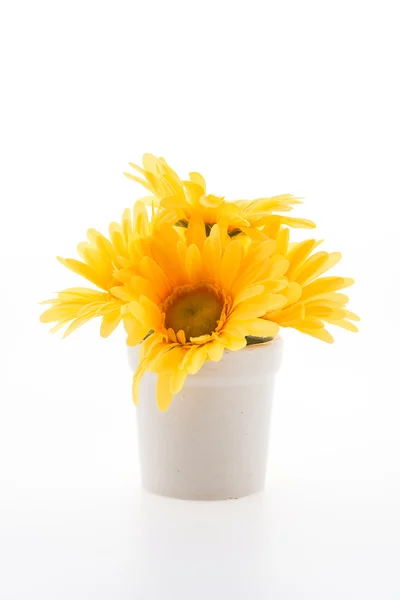 Vase flower isolated on white background — Stock Photo, Image