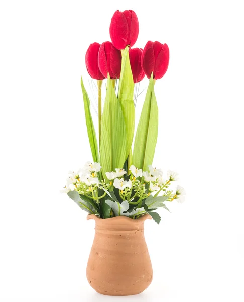 Vase Blume isoliert auf weißem Hintergrund — Stockfoto