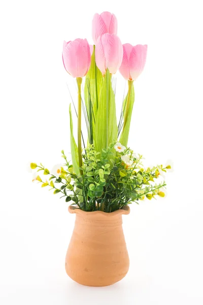 Vaso fiore isolato su sfondo bianco — Foto Stock