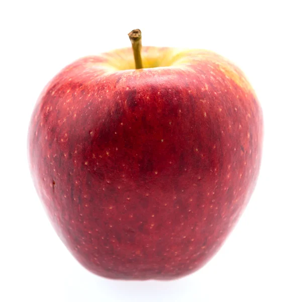 Apple isoliert auf Weiß — Stockfoto