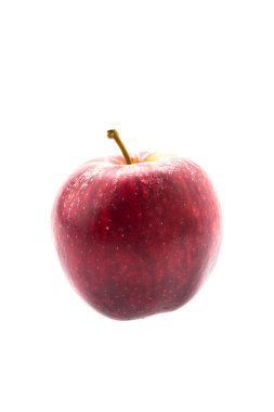 Elma beyaz üzerine izole