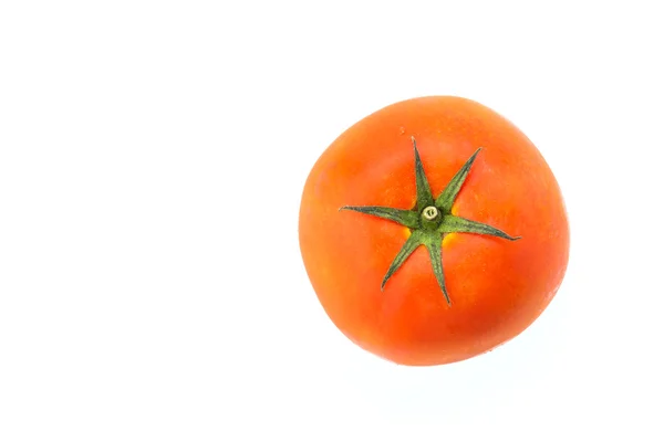 Tomate — Fotografia de Stock