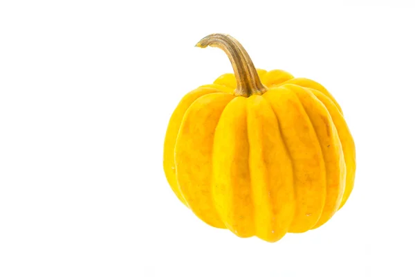 Calabaza aislada en blanco — Foto de Stock