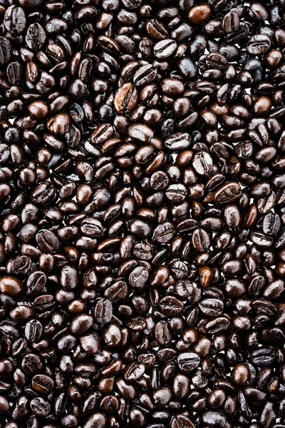 Coffee beans — Stock Photo, Image