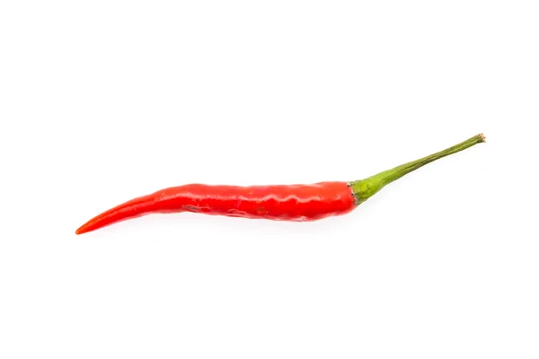 Červená chilli — Stock fotografie