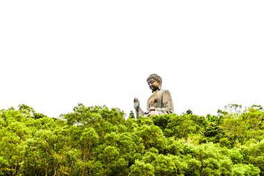 Hong Kong'da Buda