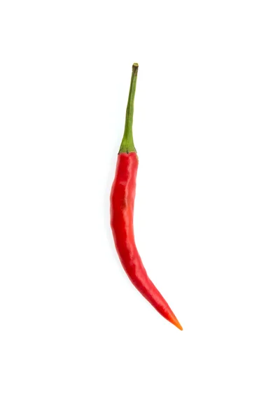 Chilli isolado em branco — Fotografia de Stock