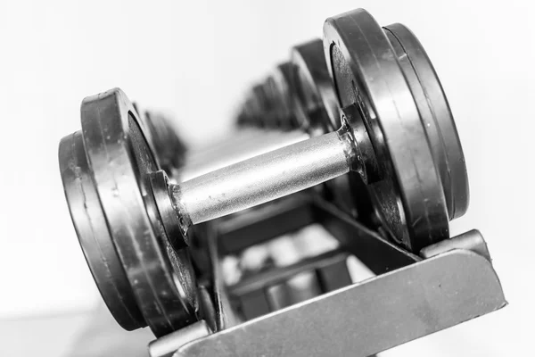 Equipamento desportivo Dumbbell — Fotografia de Stock