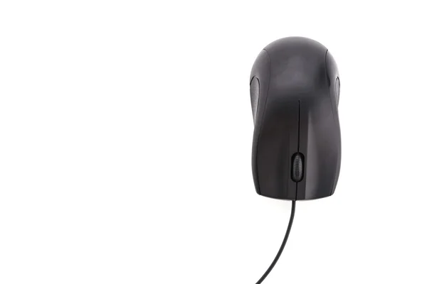 Computer mouse — Stock Photo, Image