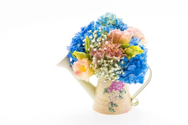 Bukiet hortensji kwiat na białym tle — Zdjęcie stockowe