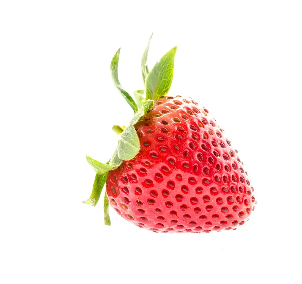 Verse aardbeien — Stockfoto