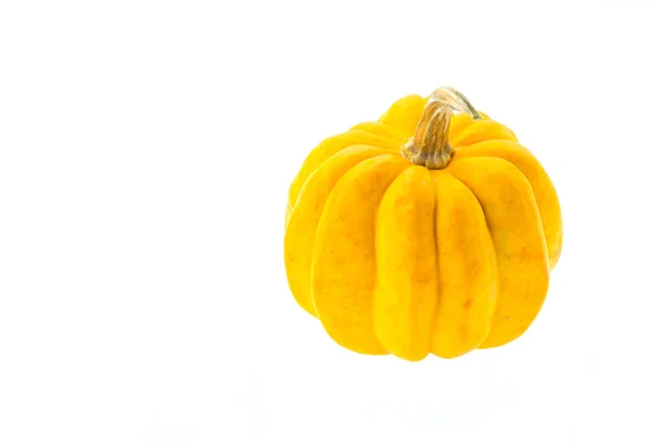 Pumpkin isolated on white — Stock Photo, Image