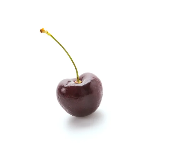 stock image Cherry